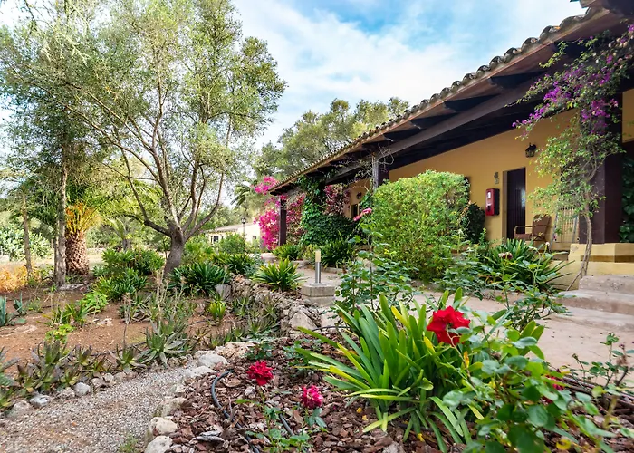 Finca Hotel Predio Son Serra